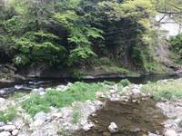 秩父フライフィールド 釣果