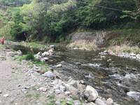 秩父フライフィールド 釣果