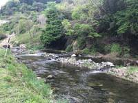 秩父フライフィールド 釣果