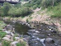 秩父フライフィールド 釣果