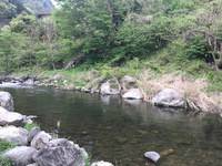 秩父フライフィールド 釣果