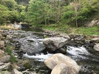 秩父フライフィールド 釣果