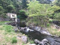 秩父フライフィールド 釣果