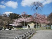 秩父フライフィールド 釣果