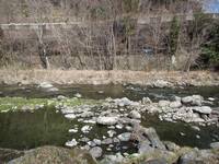 秩父フライフィールド 釣果