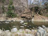 秩父フライフィールド 釣果