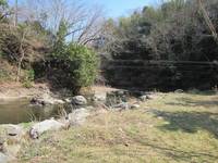 秩父フライフィールド 釣果