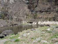 秩父フライフィールド 釣果