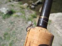 秩父フライフィールド 釣果