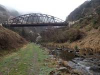 秩父フライフィールド 釣果