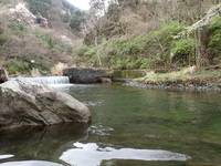 秩父フライフィールド 釣果