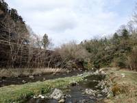 秩父フライフィールド 釣果