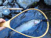 秩父フライフィールド 釣果