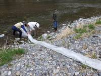 秩父フライフィールド 釣果