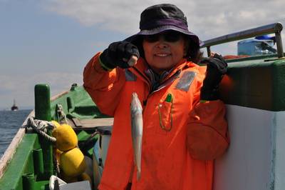 根岸丸 釣果