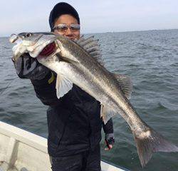 Ｒｕｓｈ（ラッシュ） 釣果