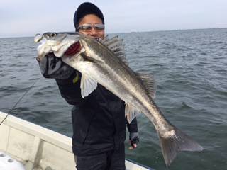 Ｒｕｓｈ（ラッシュ） 釣果