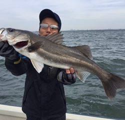 Ｒｕｓｈ（ラッシュ） 釣果