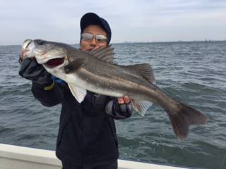 Ｒｕｓｈ（ラッシュ） 釣果