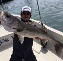 Ｒｕｓｈ（ラッシュ） 釣果