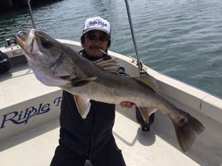 Ｒｕｓｈ（ラッシュ） 釣果