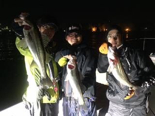 Ｒｕｓｈ（ラッシュ） 釣果