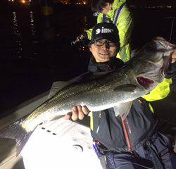 Ｒｕｓｈ（ラッシュ） 釣果