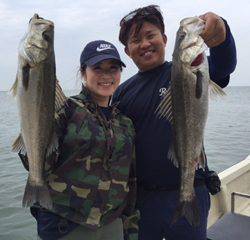 Ｒｕｓｈ（ラッシュ） 釣果