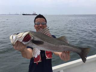 Ｒｕｓｈ（ラッシュ） 釣果