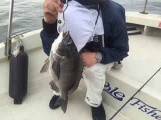 Ｒｕｓｈ（ラッシュ） 釣果