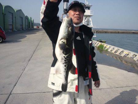 第二明康丸 釣果