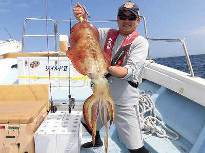 WILDⅡ 釣果