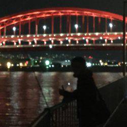 夜釣りに行こう！