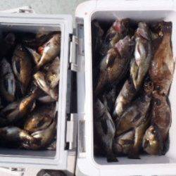 フィッシング キッタカ 釣果