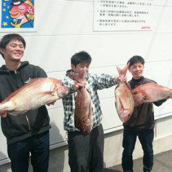 海琉 釣果
