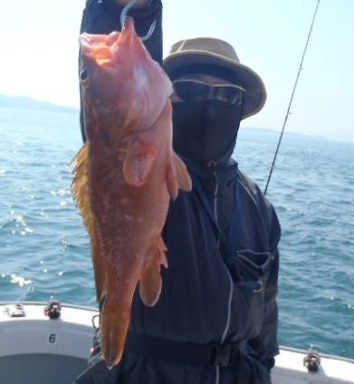 フィッシング　キッタカ 釣果