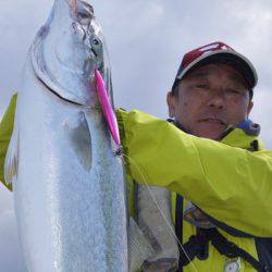 渡船屋たにぐち 釣果