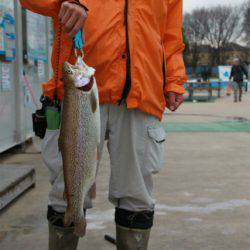 としまえんフィッシングエリア 釣果