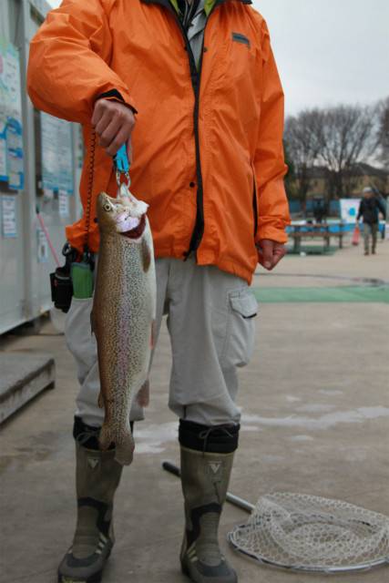 としまえんフィッシングエリア 釣果