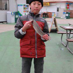 としまえんフィッシングエリア 釣果