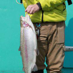 としまえんフィッシングエリア 釣果