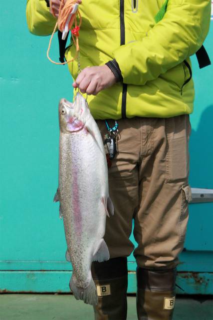 としまえんフィッシングエリア 釣果