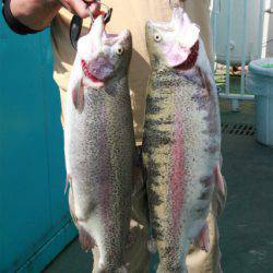 としまえんフィッシングエリア 釣果