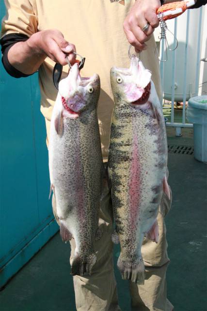 としまえんフィッシングエリア 釣果