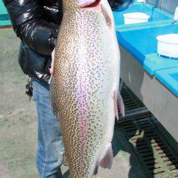 としまえんフィッシングエリア 釣果