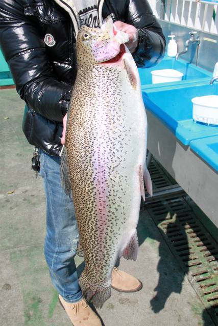 としまえんフィッシングエリア 釣果