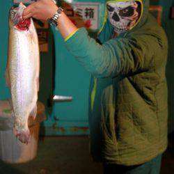 としまえんフィッシングエリア 釣果