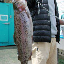 としまえんフィッシングエリア 釣果