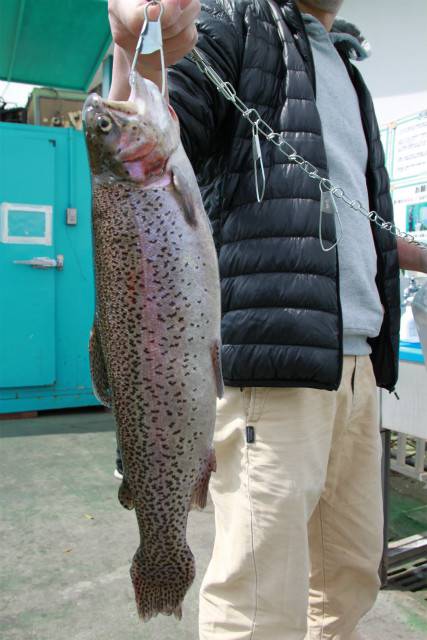 としまえんフィッシングエリア 釣果