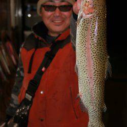 としまえんフィッシングエリア 釣果